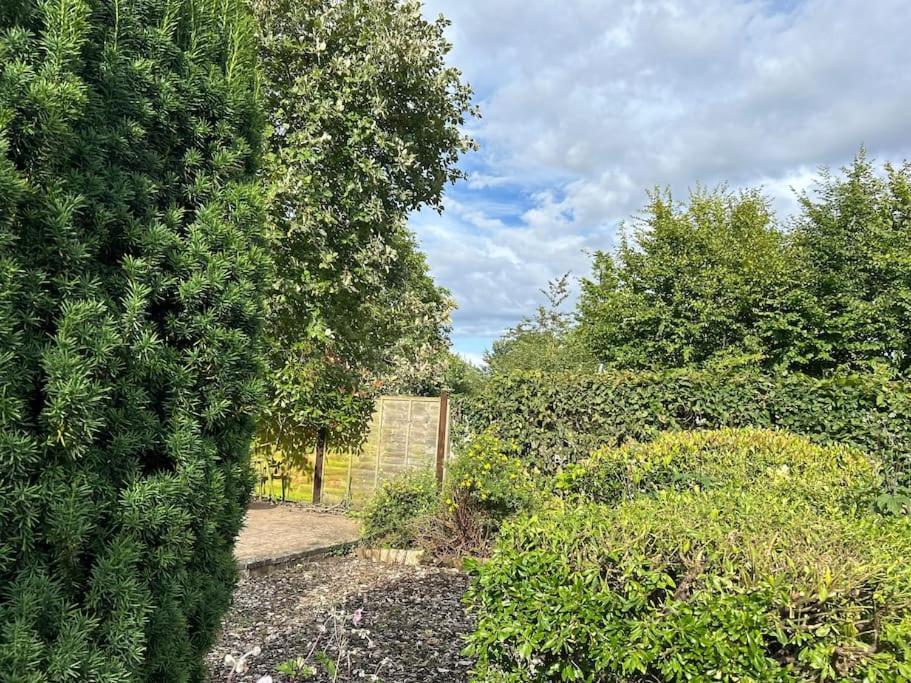 Abacus Cottage Whitwell-on-the-Hill Exterior foto